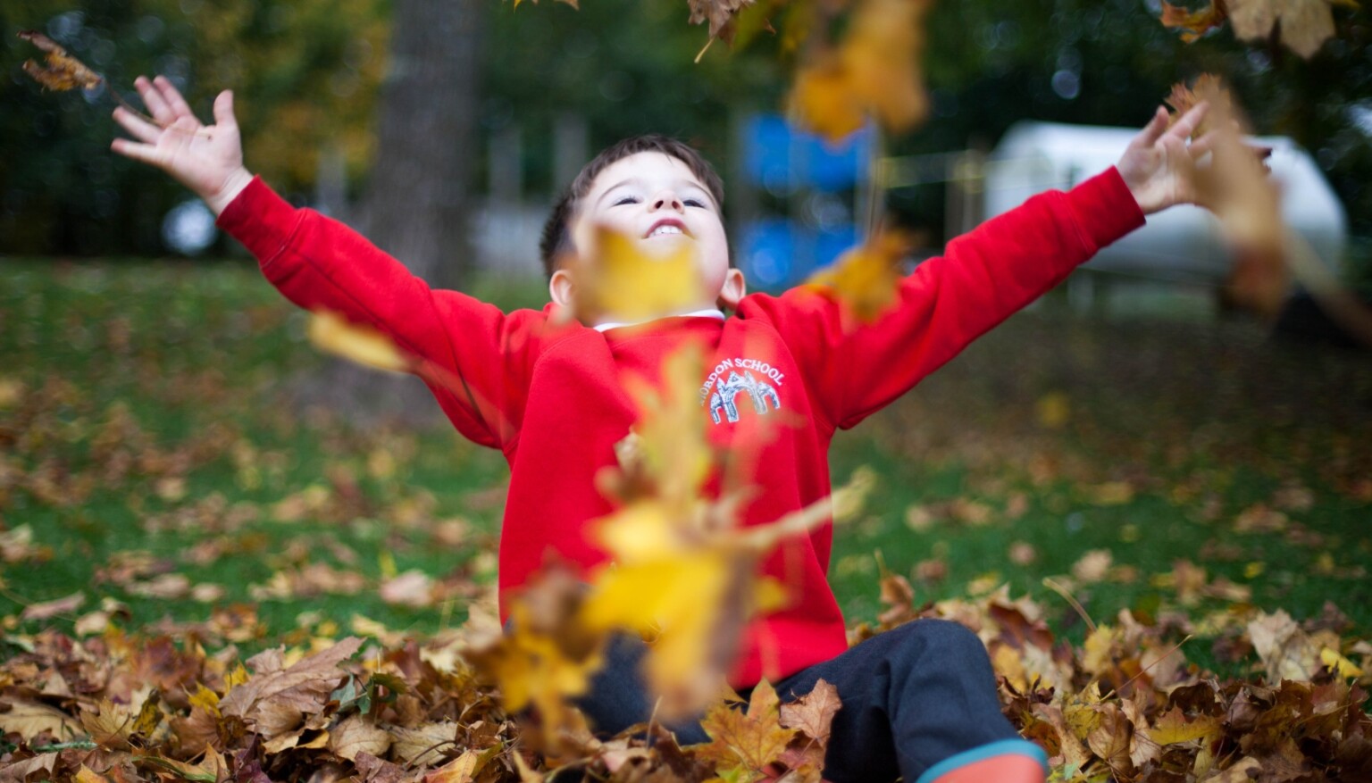 PLaying in leaves