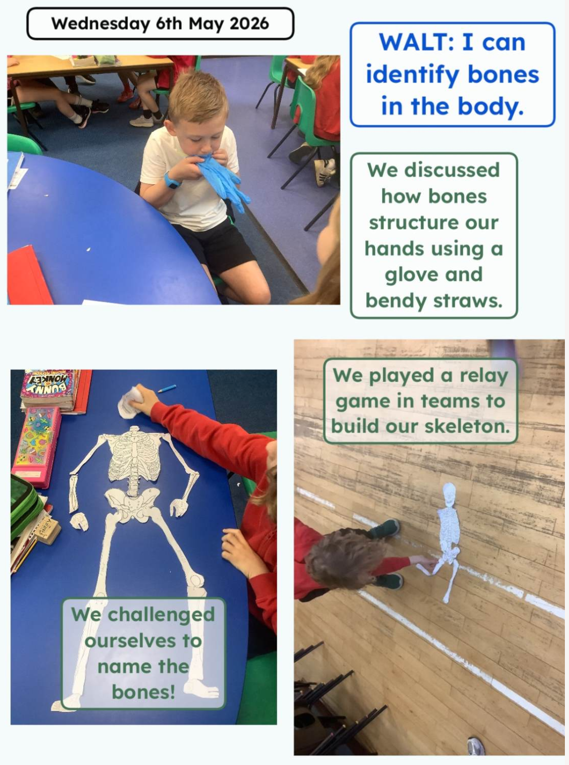 Bones in Ledicot Class