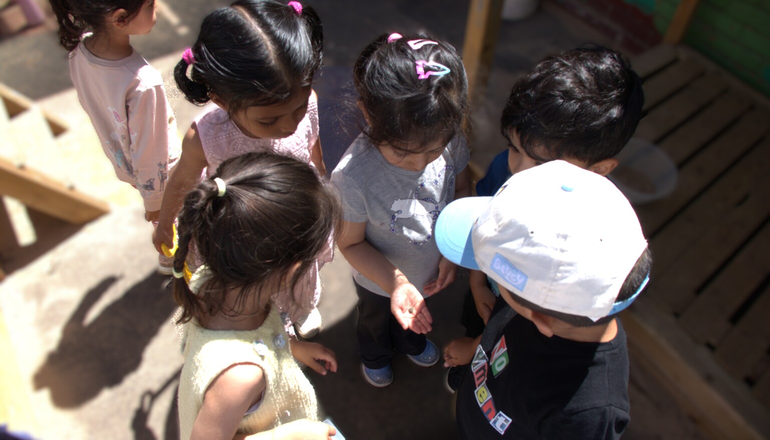 The children stand together to look closely at what they've found.
