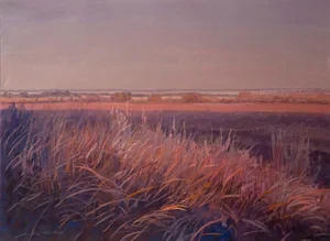 Last Light in January RESERVED