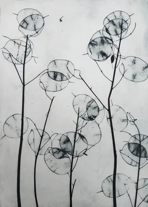 2020. Solar plate etching, edition 15/30. £240 framed, 43 x 53cm (1 available, 2 SOLD). £195 unframed, Print size 21 × 30 cm.
