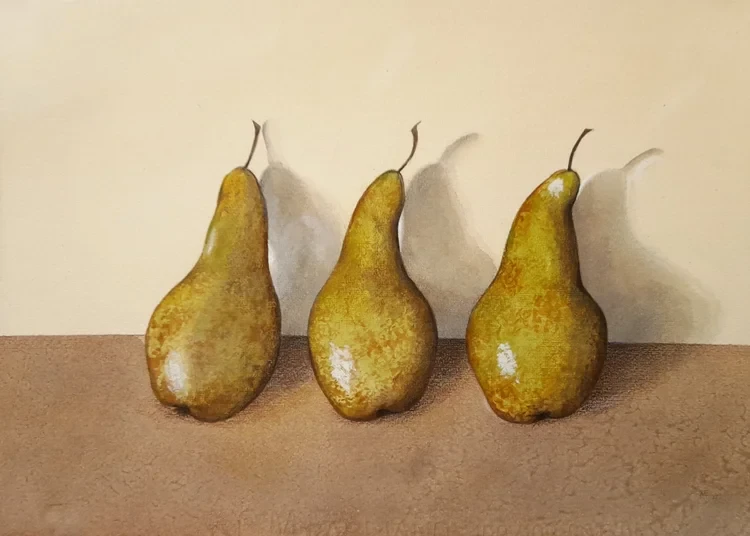 Three Pears Still Life 24 x 34cm Watercolour £145