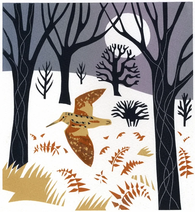 Winter Woodcock £295 (£210) 30x30 cm, Serigraph (edition of 9)