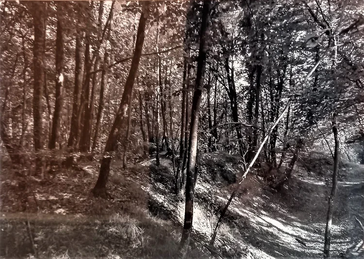 Roger Coleman Photograph. 51cm x 41cm incl frame. £125