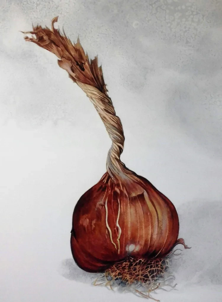 Smoked Garlic Watercolour 31 x 52cm £155