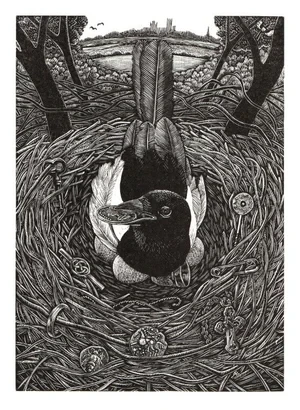 The Myth Of The Magpie