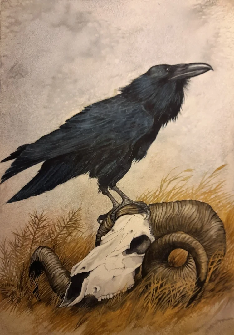 Raven II Watercolour 33 x 47cm £270