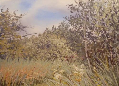 Meadowsweet Walk, 1996.