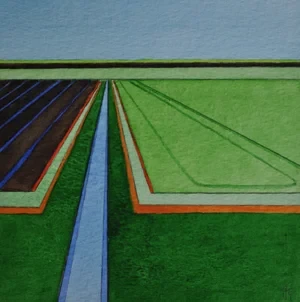Patterned Fen 