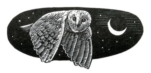 Melancholy Owl