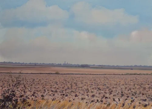 Fields to Ely
