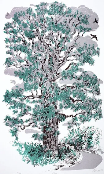 Elm £265 (£145) 50 x 30 cm, Lithograph (edition of 50)