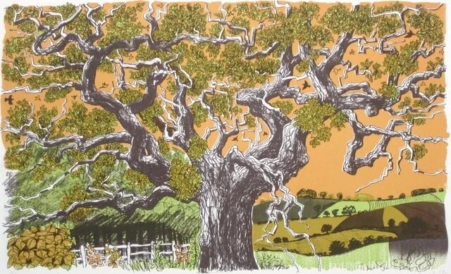 Oak £265 (£145) 40 x 55 cm, Lithograph (edition of 50)
