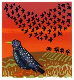 Starling SOLD