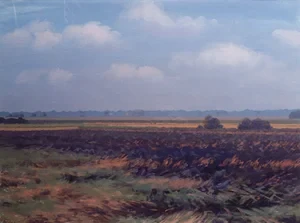 Mere Fields in October, 2013