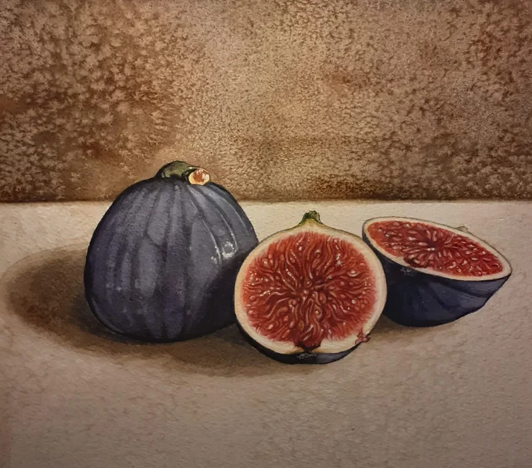 Still Life: Figs Watercolour 25 x 25cm SOLD
