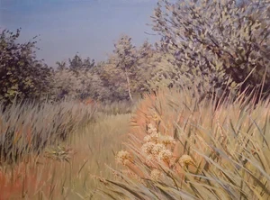 Fen Walk in July, 1997
