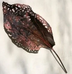 Copper Leaf (indoor or out) 122cm x 34cm £550 Carol Sinclair