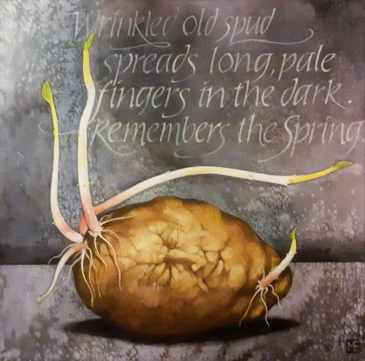 Wrinkled Old Spud Watercolour 32 x 32 £155