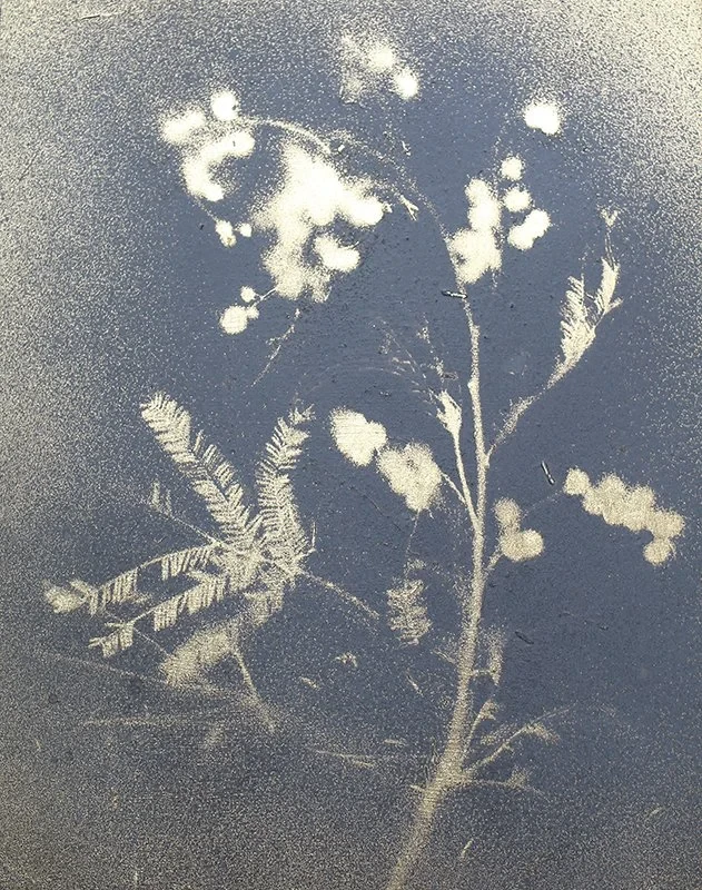 Mimosa, 2021. Melanie Goemans. Acrylic and gold leaf on panel. 22 × 27 cm (framed) £475