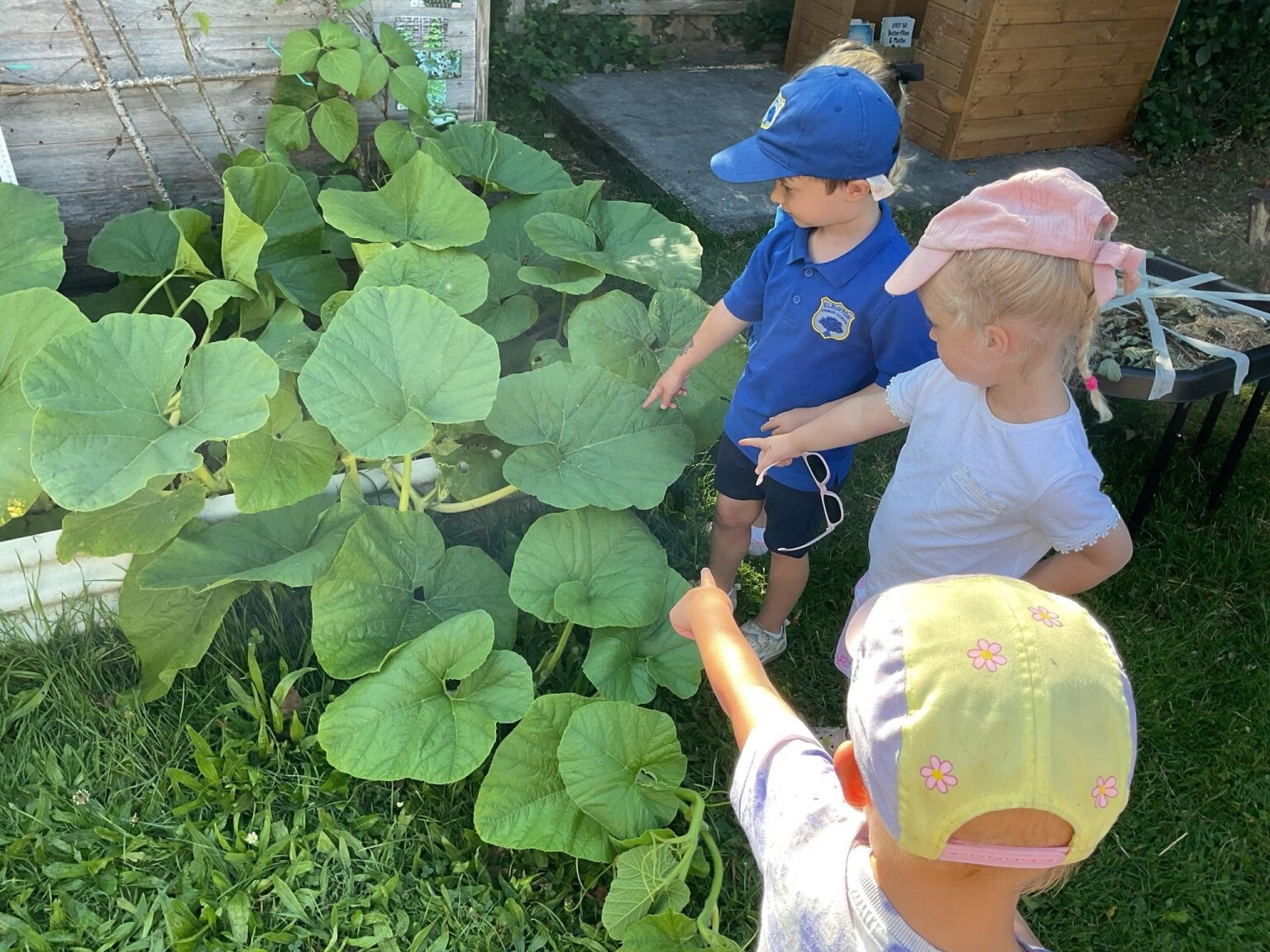 Pre School learning Environment