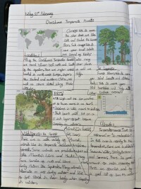 An example of pupil work