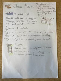An example of pupil work