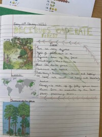 An example of pupil work