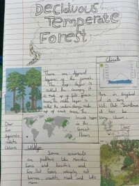 An example of pupil work