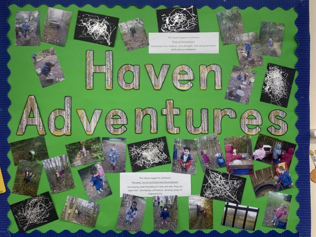 Adventures in the Haven, our forest and wild area.