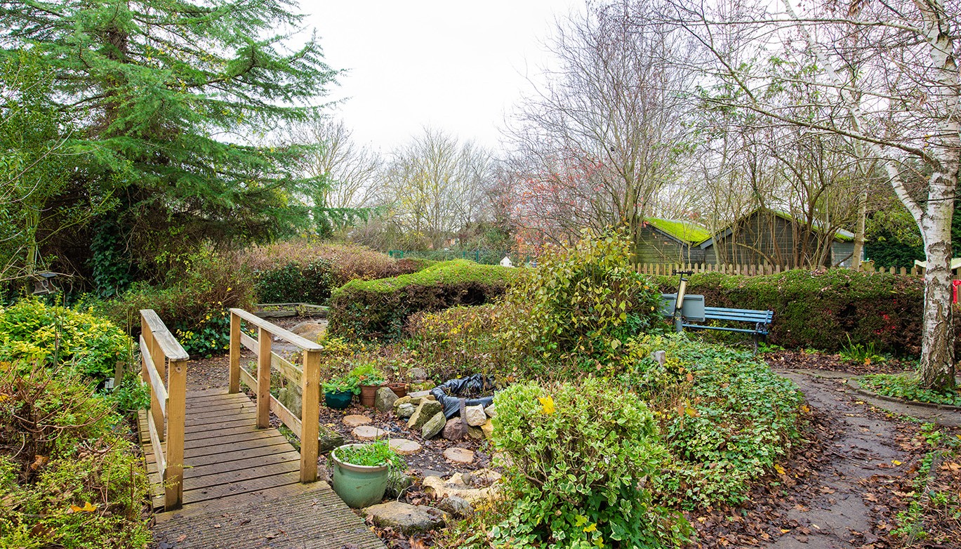 MIDDLE 2 - Forest School B