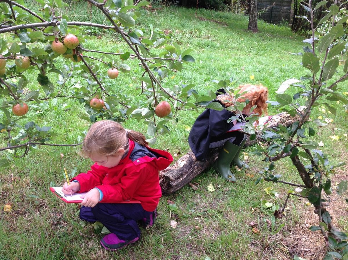 Observing our fabulous apple tree.