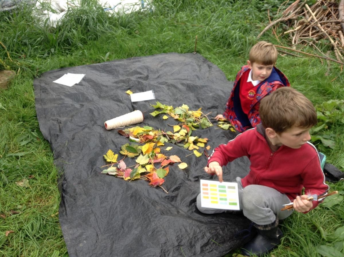 Collecting rainbow coloured leaves to make leaf bunting!