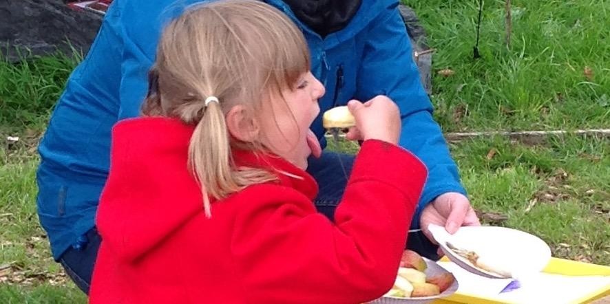 Yummy apples and honey! 
