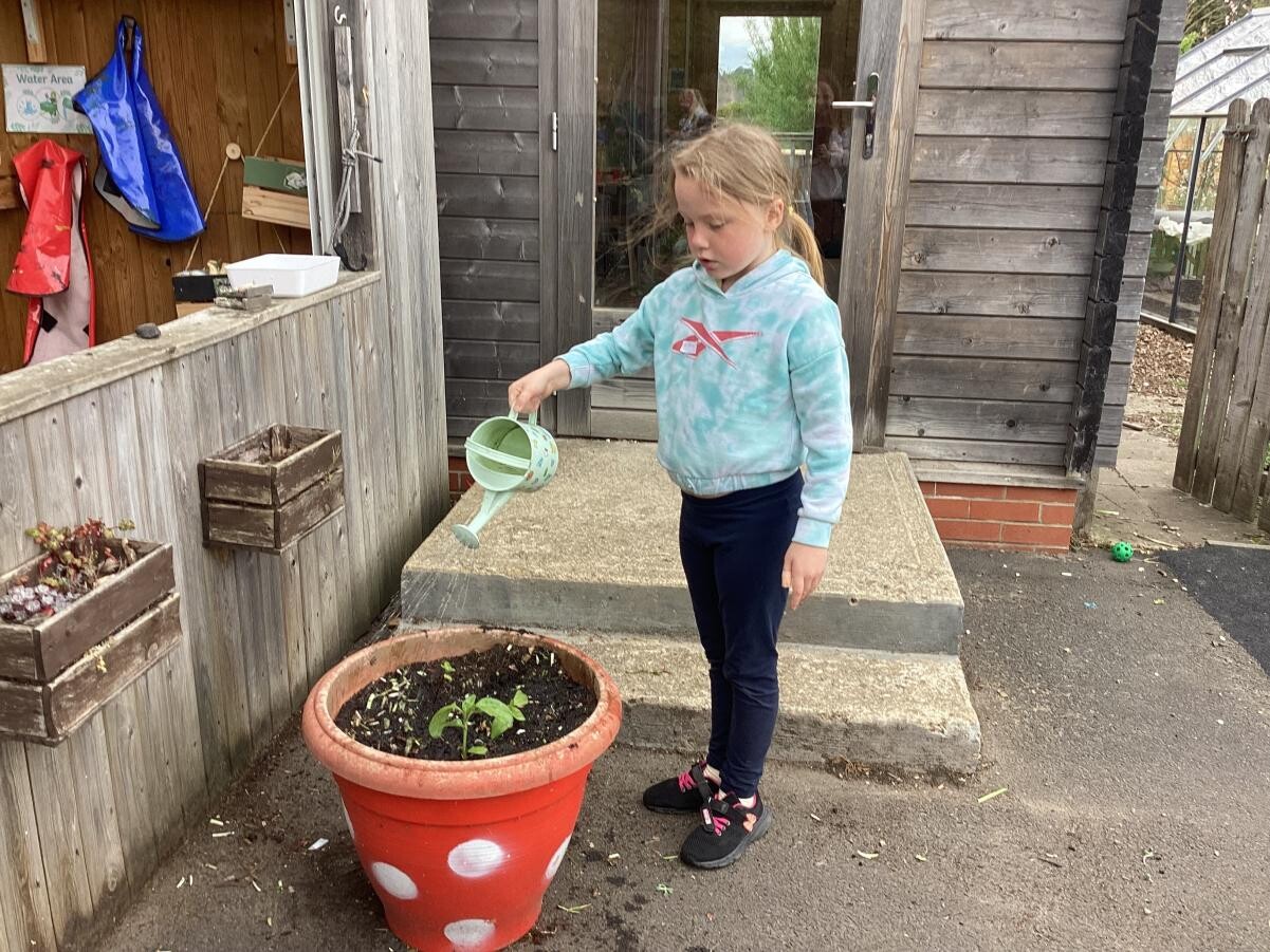 Pupil watering plants