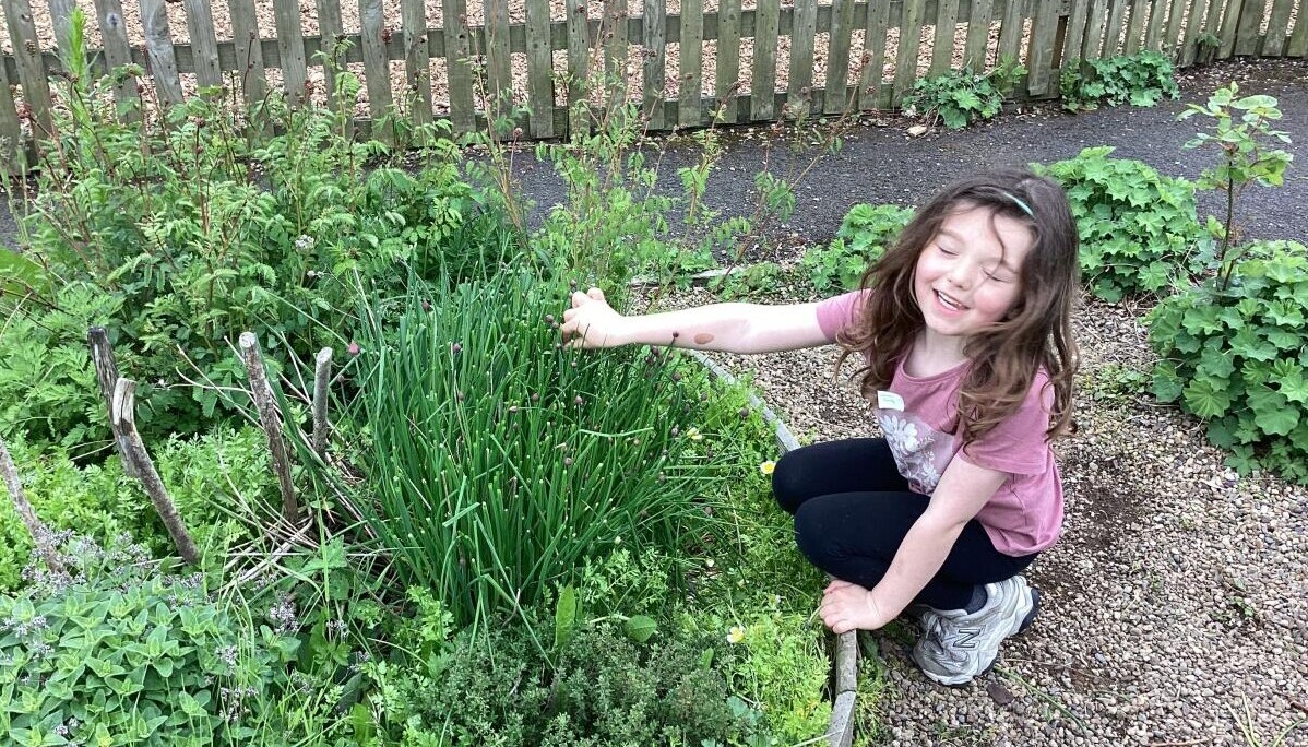 In the school garden