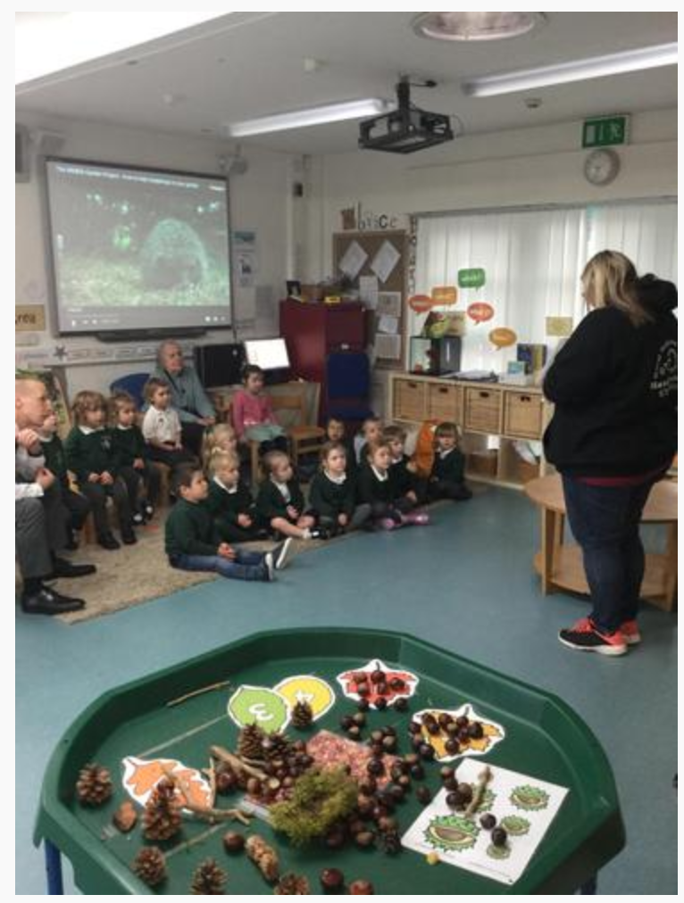 Hedgehog Hospital