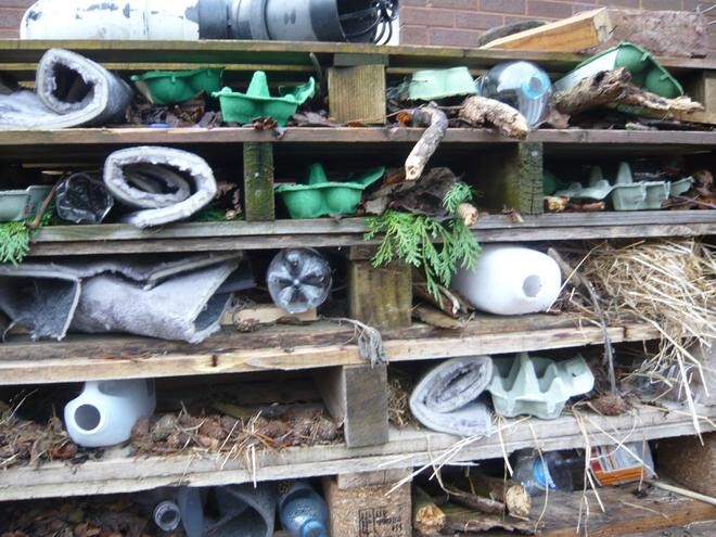 bug house