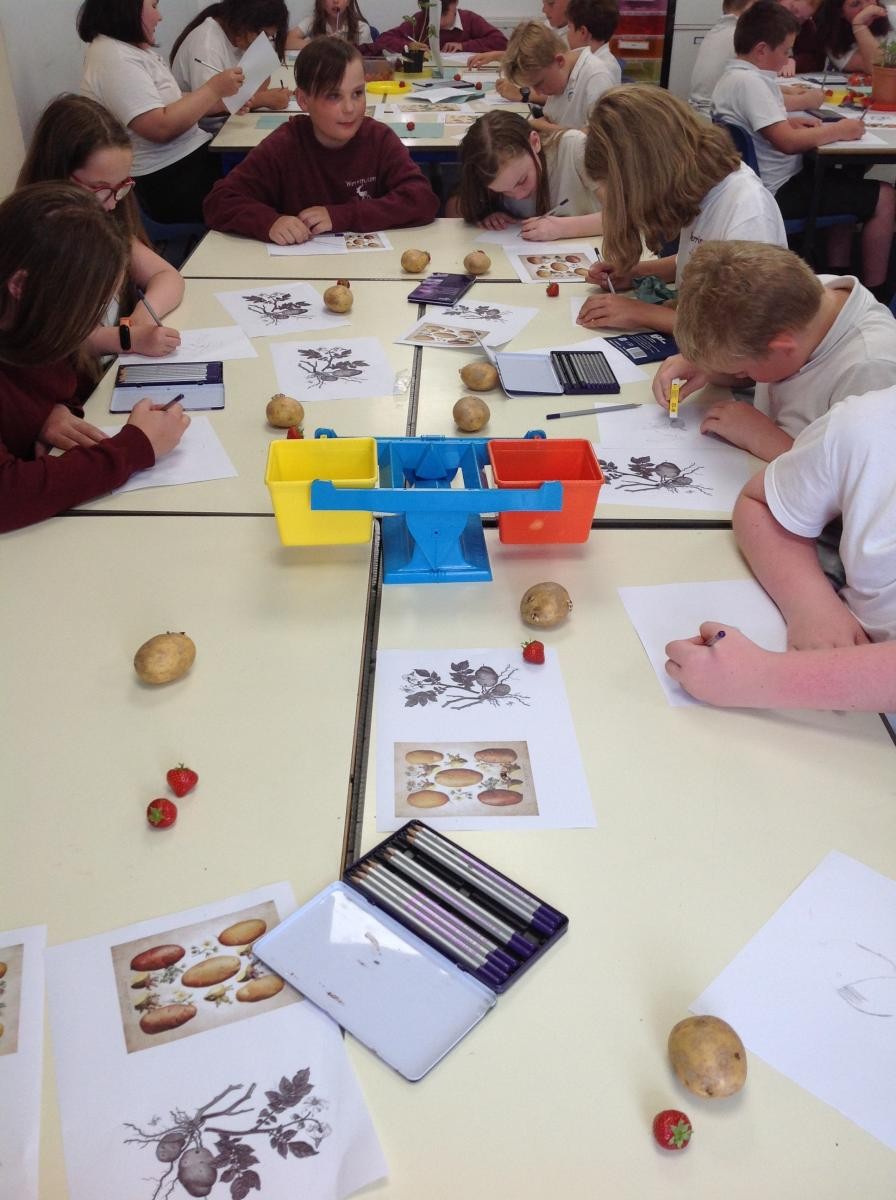 Science across the school