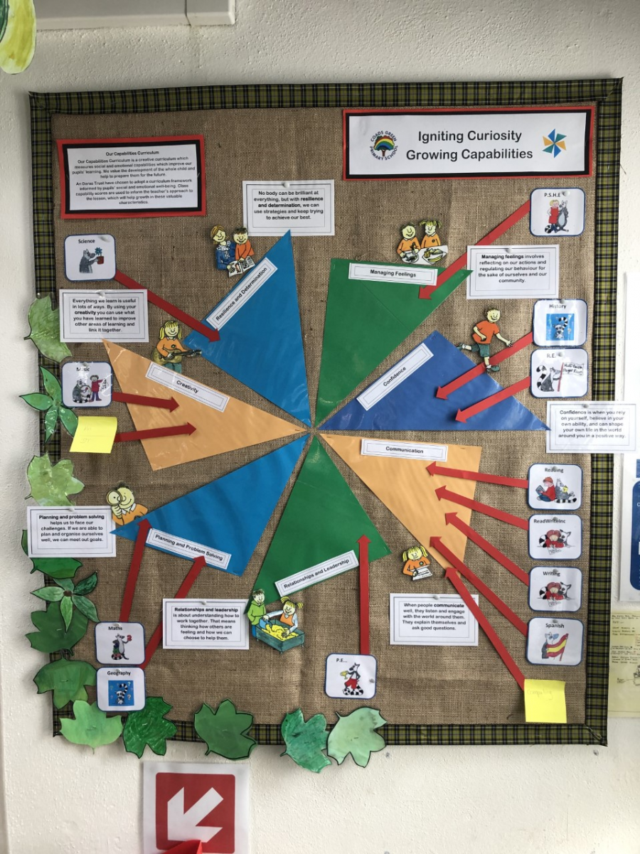 Display of The Capabilities Curriculum 