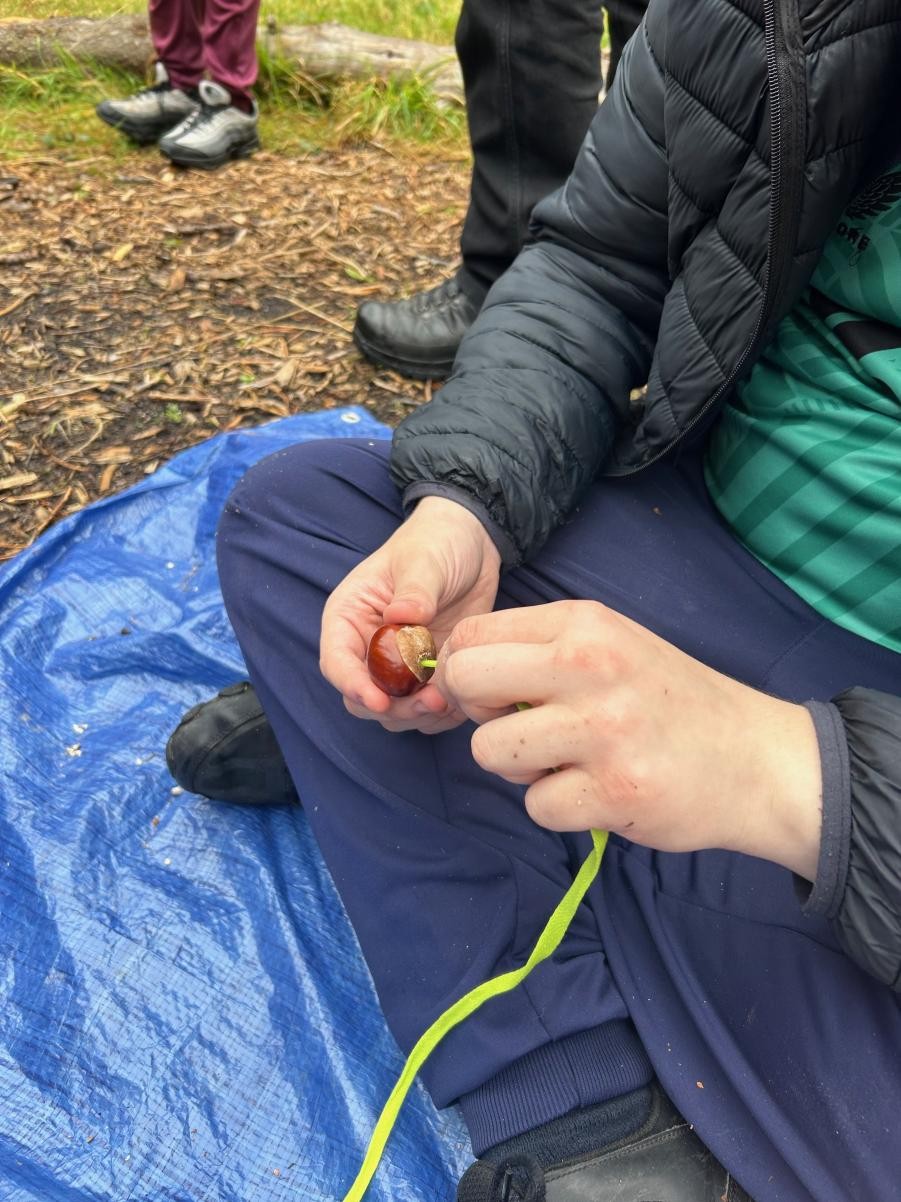 threading conkers