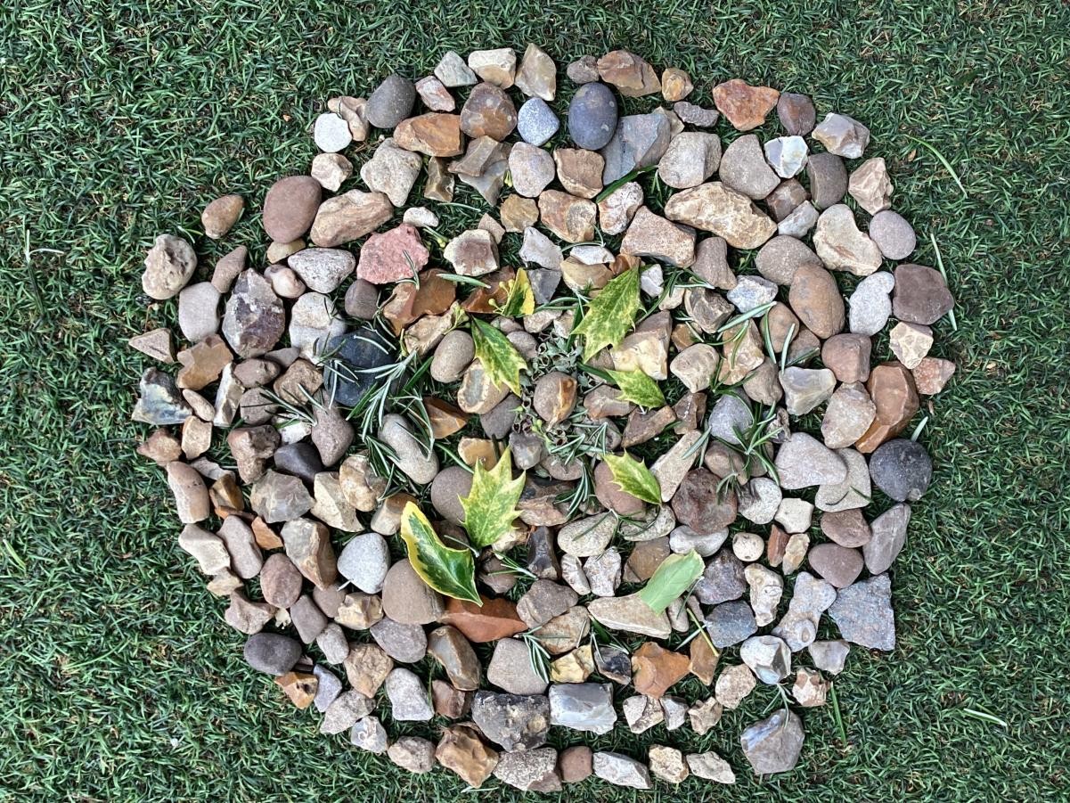 What do you think this looks like?