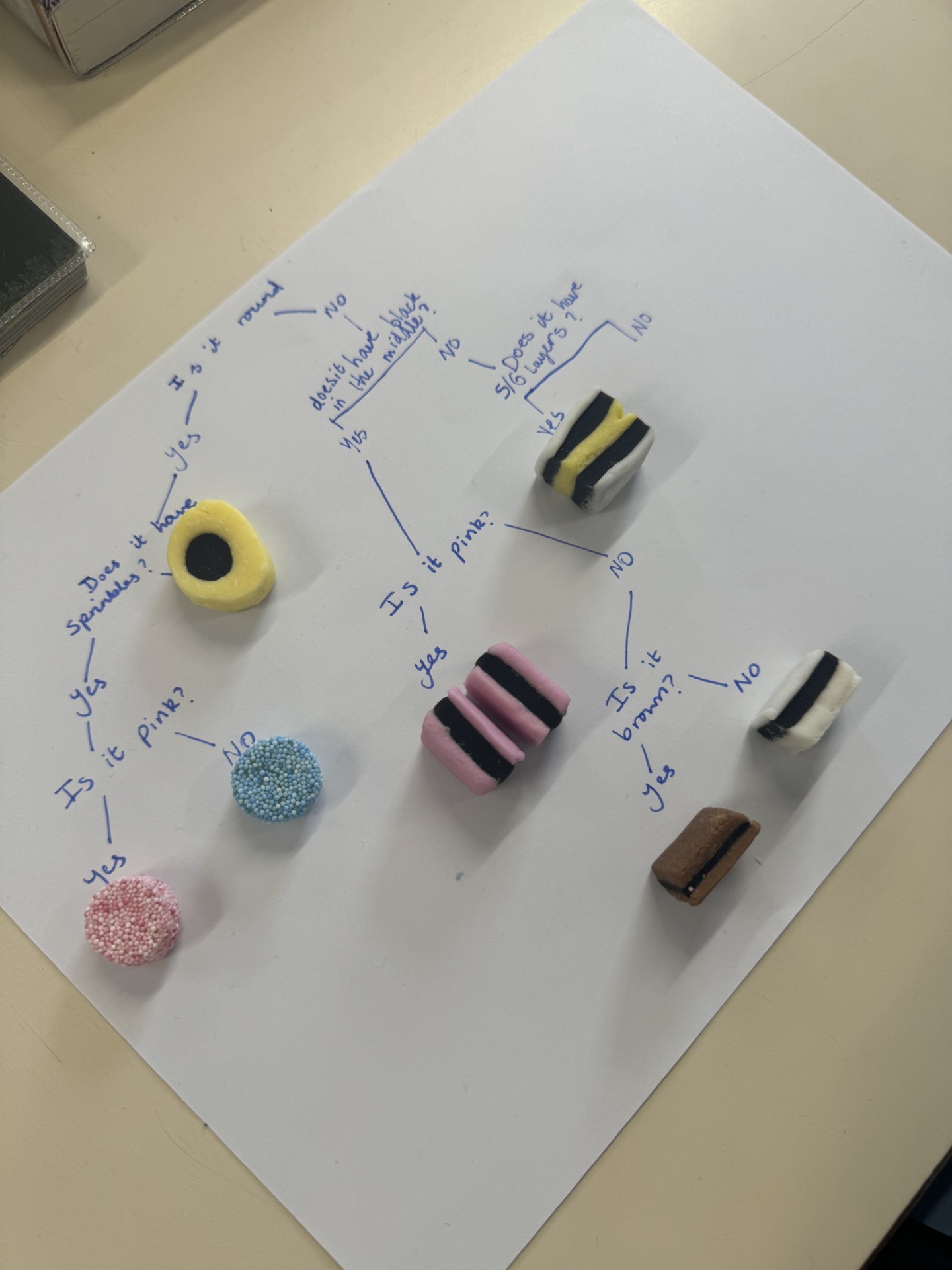 Practising classification keys using sweets!