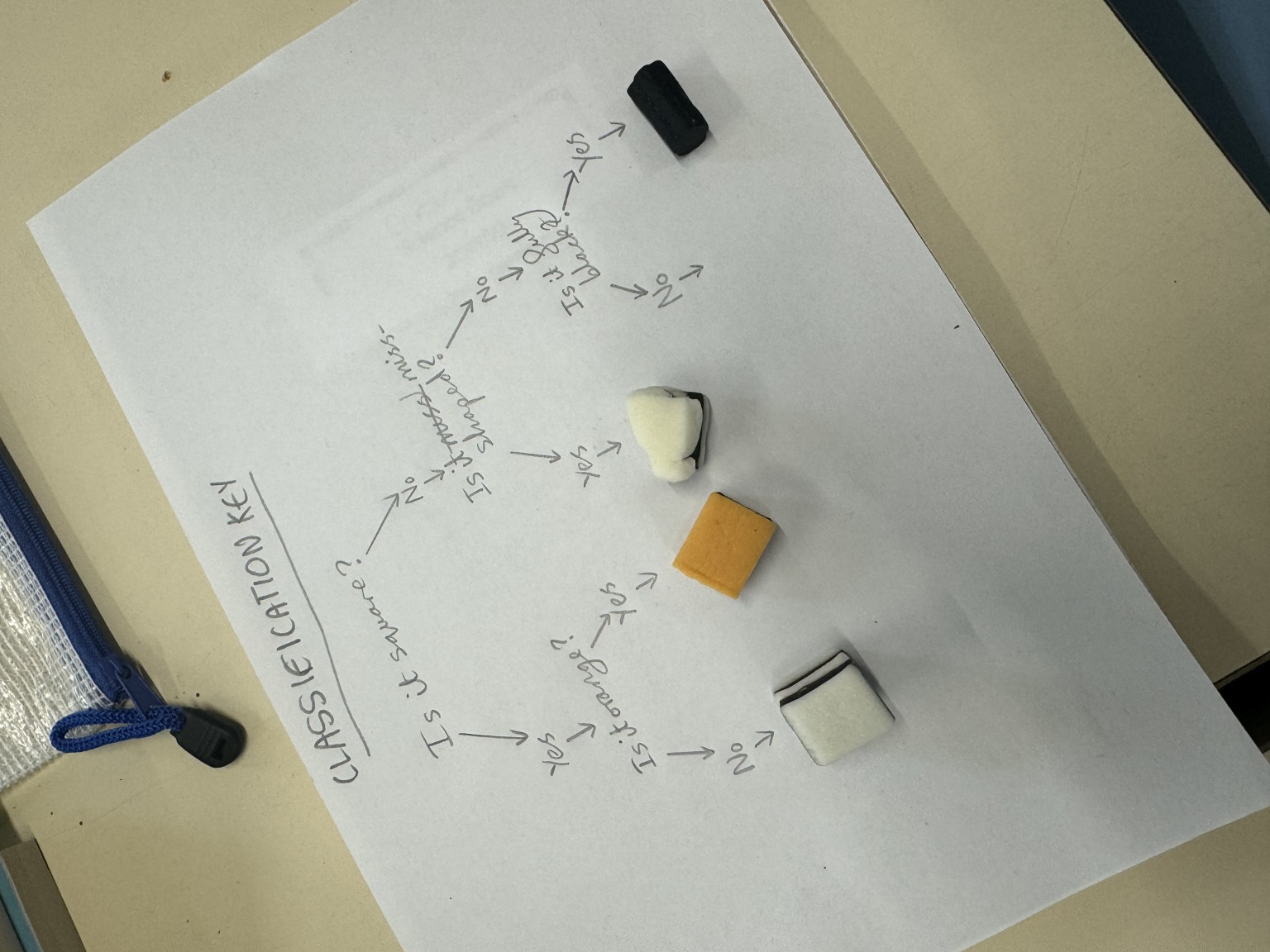 Practising classification keys using sweets!