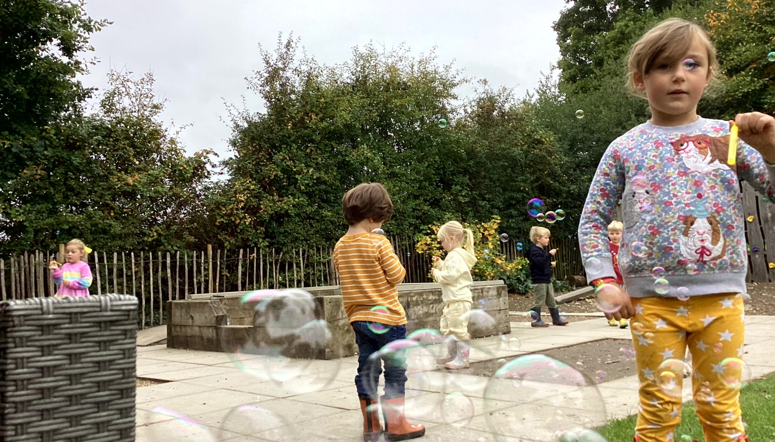 Robins blowing bubbles