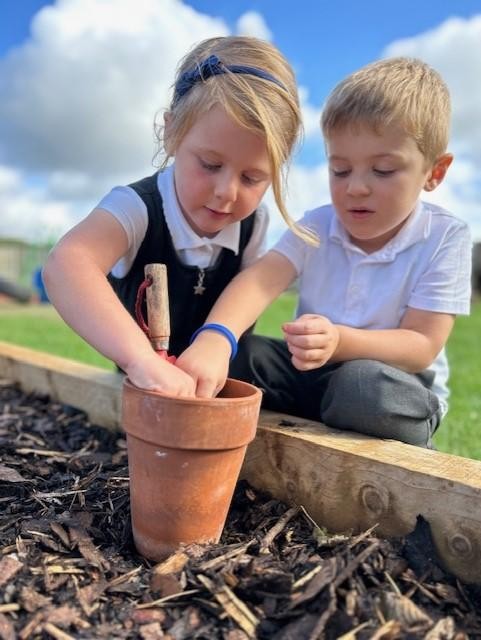 Gardening