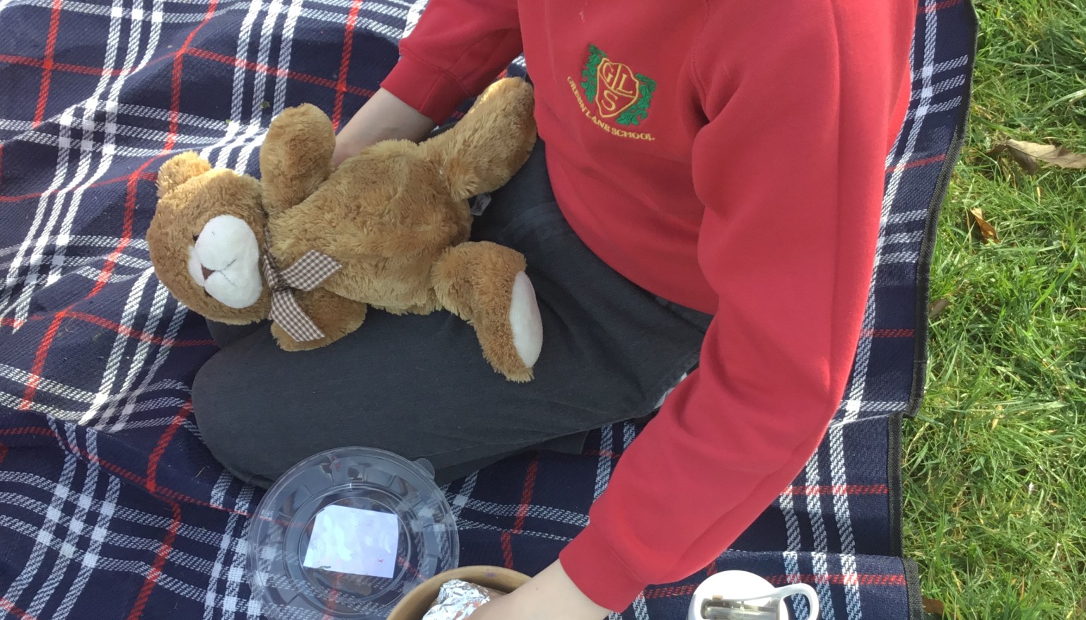 Teddy Bear’s Picnic 