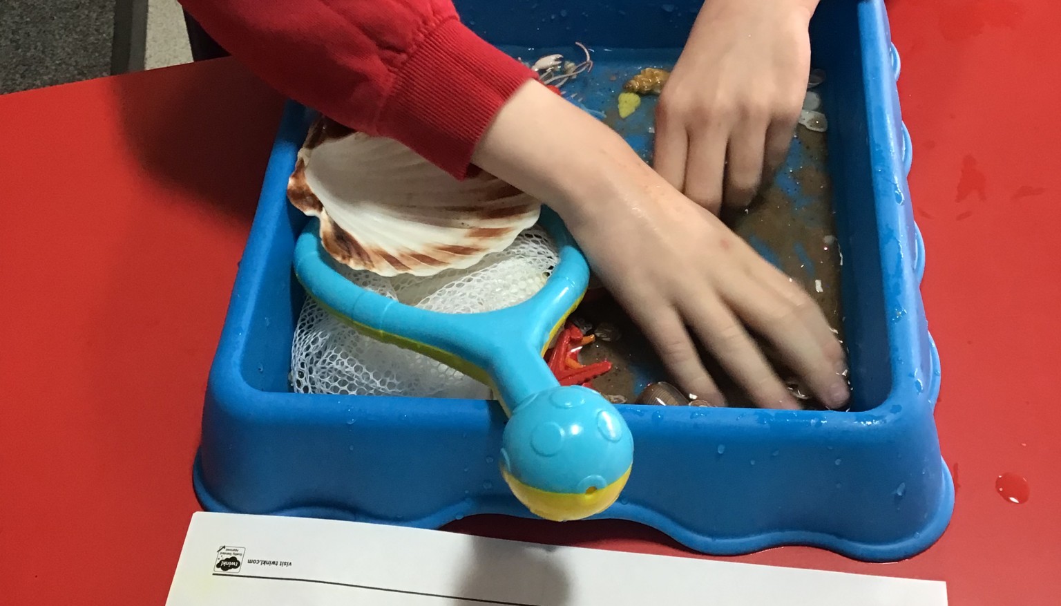 Topic - Under the Sea