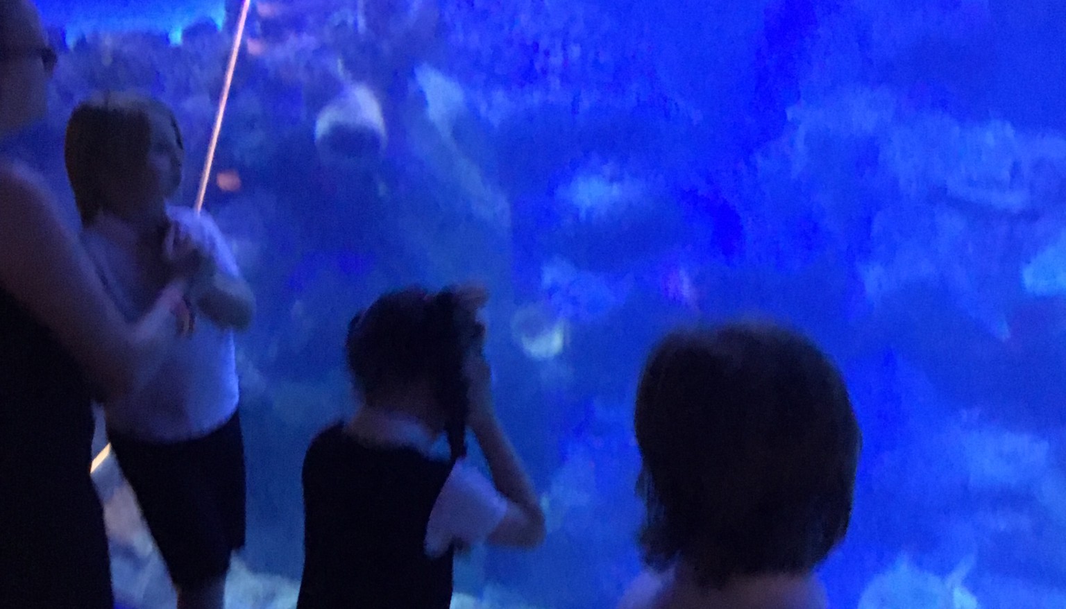 blue planet