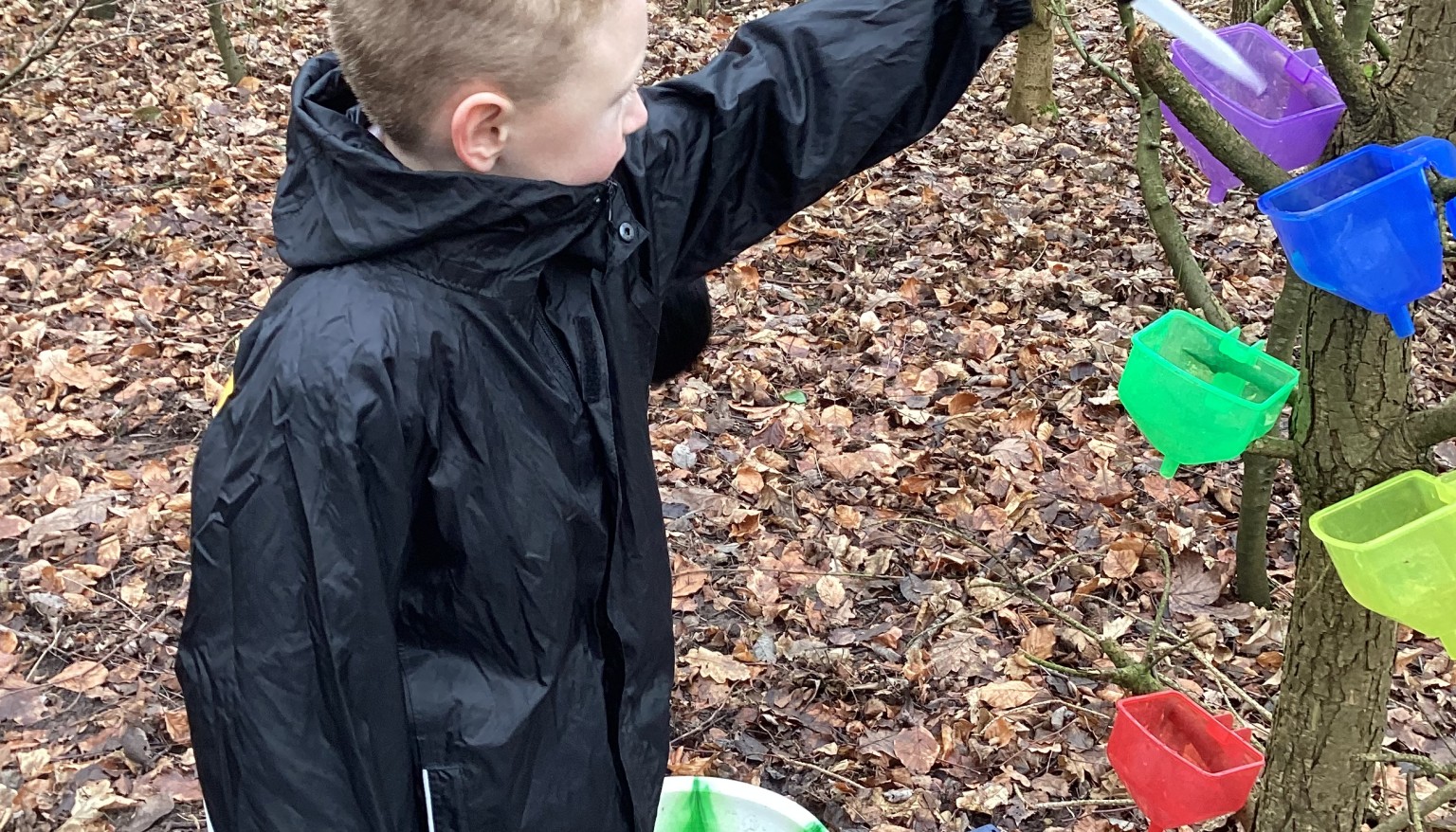 Forest School 